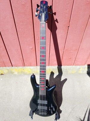 Spector Euro 5 - Alex webster / black