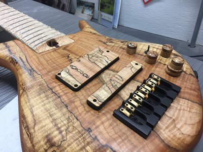 Must See...Loaded 2017 Warrior Spalted Maple with Crazy Birdseye Fretboard