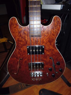 WARWICK STAR BASS II Bubinga Heaven! 2006