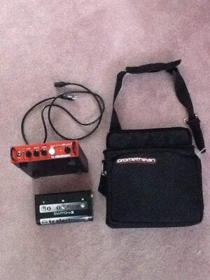 TC Electronic BH250 Head w/bag and pedal