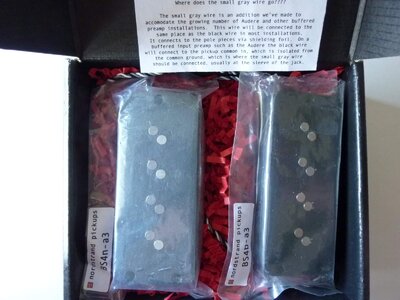 Nordstrand Big Single Alnico 3 G&L Bass Pickup set