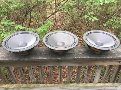 Ampeg portabass 10" 4ohm drivers