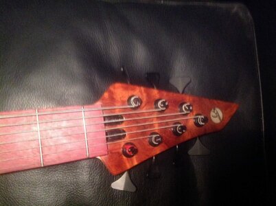 Bee "Stinger" 7 string bass