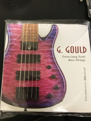 G. Gould 5 string custom set