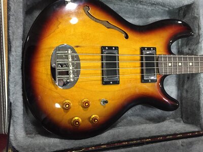 Lakland Hollowbody Skyline