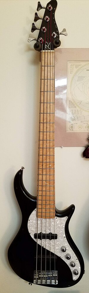 Pedulla Rapture JJ Maple Neck 5 for rosewood