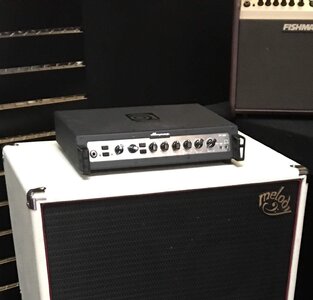 Ampeg PF500