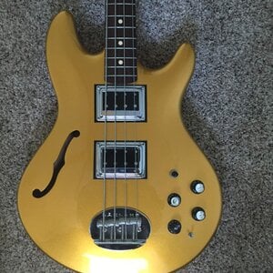 Lakland Skyline Hollowbody, Darkstars!