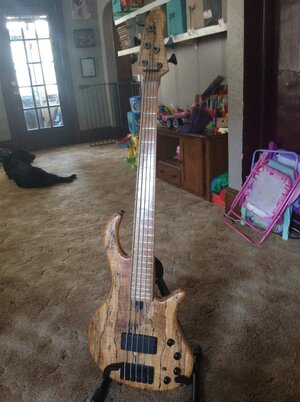 MPG Level 5 Spalted Maple LIGHTWEIGHT 5 string