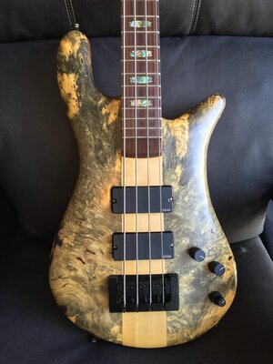 Spector NS-4 Buckeye Burl - Price lowered