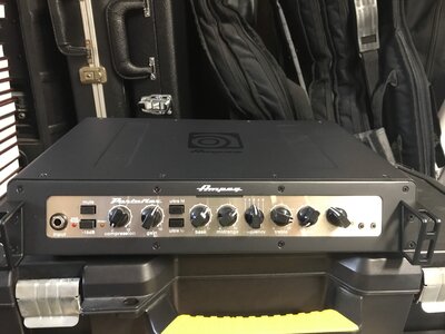 Ampeg PF-800 w/Bag - New!