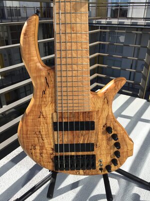 2008 Elrick Gold Series - e-volution 7 string - RARE, RAMP, EXC CONDITION