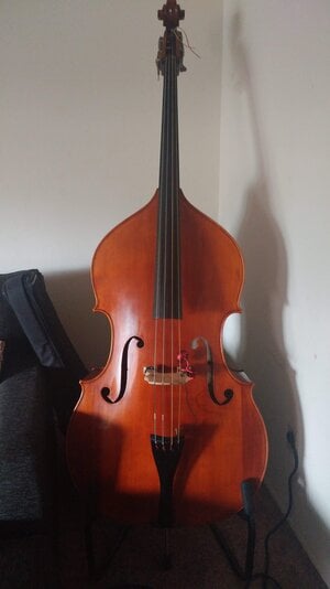 Thompson Hybrid Double Bass + extras