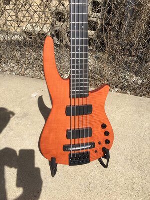 Beautiful NS Radius CR5 fretted bass