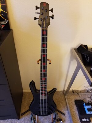 Spector Alex Webster Euro 5LX