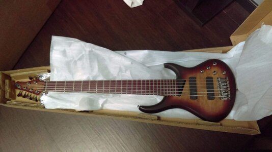 MTD Kingston Andrew Gouche 6 string bass - Brand New