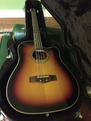 Short Scale/Stagg Acoustic with OHSC ,includes free shipping!