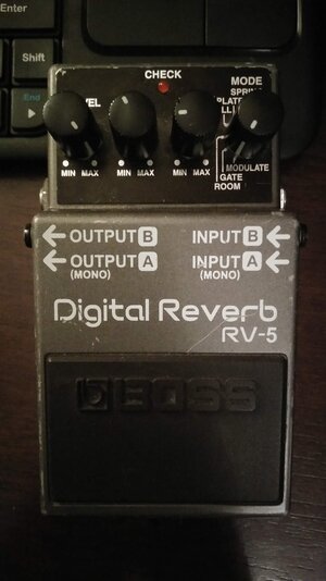 Boss RV-5