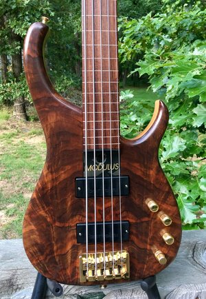 Modulus Q5 lined fretless 1999 figured Walnut top