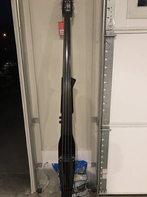 Stagg Electric Upright.  Entry level fun