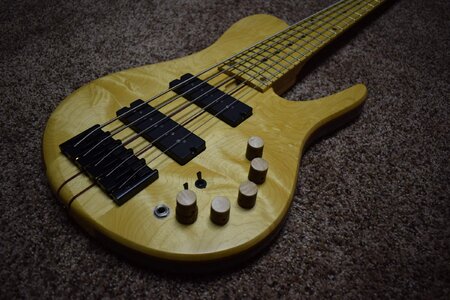 RBass SC5 (Ray Roger) 5 String Singlecut Price Cut