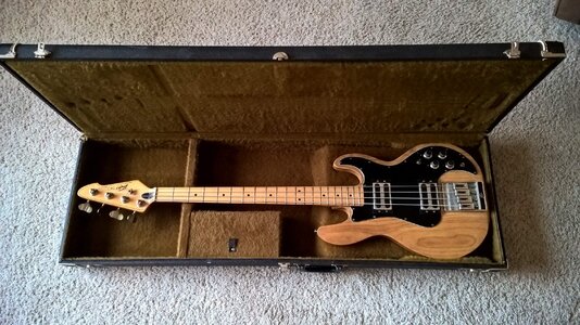 1979 Peavey T-40 - $525 shipped to CONUS (Price Reduced!)