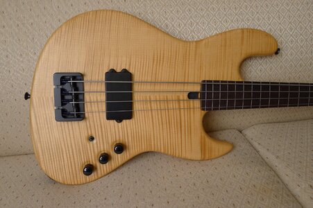 Maruszczyk Elwood L 4 Fretless