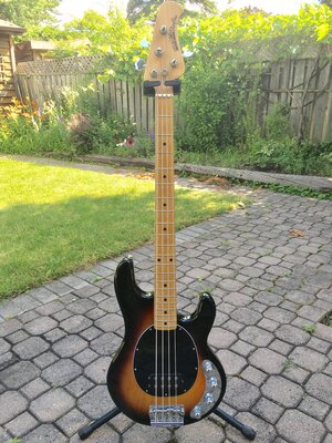 Ernie ball Musicman stingray 4h sunburst/maple