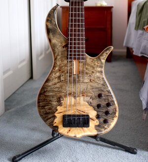 Fbass BN5, Buckeye Burl, Maccasar Ebony, Excellent