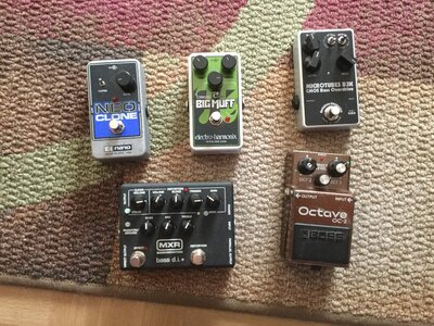 Darkglass B3K, MXR M80, EHX Neo Clone, EHX Nano Big Muff, Boss OC2