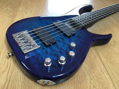 2001 Blueburst Modulus Quantum 5 (Q5) with FretFx side LEDs