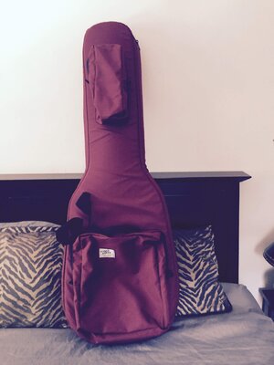 Undercover double gigbag