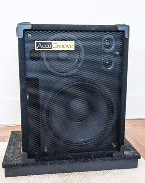 Amps and cabs galore: Accugroove, Eden - OFFERS welcomed