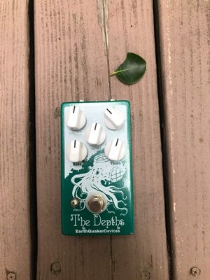 Earthquaker Devices The Depths