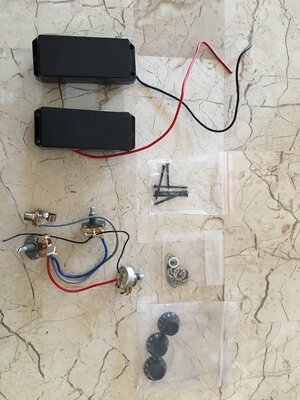 Epiphone Goth TBird IV Pickups/Wiring Harness