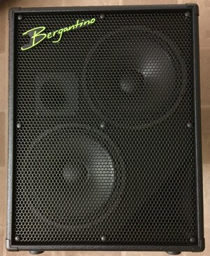 Bergantino HDN210 Cabinet w/ Cover both as new. Berg HDN 210 cab - MINT!