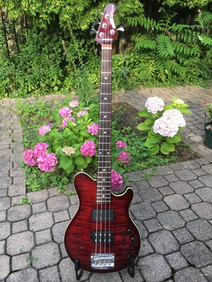 EBMM musicman 25th Anniversary 4HH Reflex bass