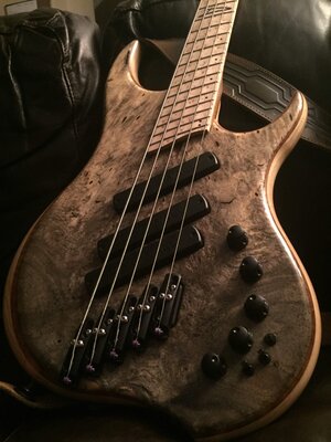 Dingwall Z3 buckeye burl