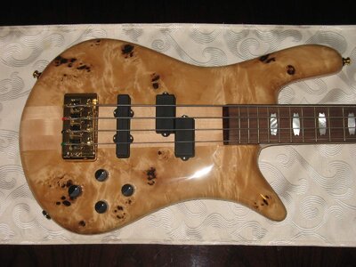 Spector Euro 4 LX (Poplar Burl)