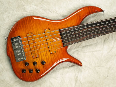 FS / FT feeler: F Bass BN6