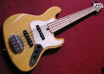 FS: New Lakland Skyline JO5 Pickguard