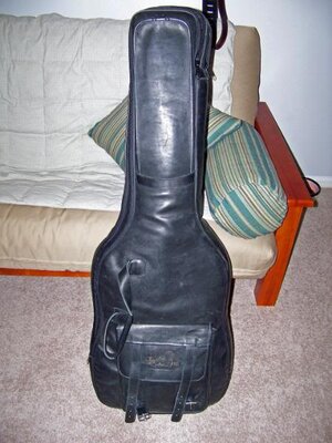 FS: Lowend Leather Double Gig Bag