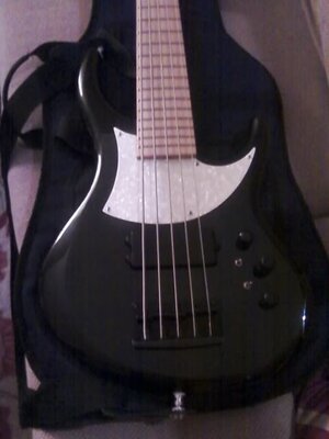 MTD Kingston 5 with Bartolini Upgrade