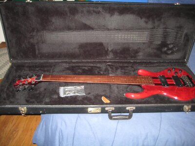 FS: Tobias 6 string Fretless, Wishbass 6 string Fretless