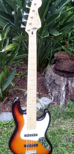 Fender Jazz V MIM Custom Fretless