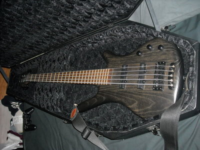 08 Warwick Corvette 5 Passive