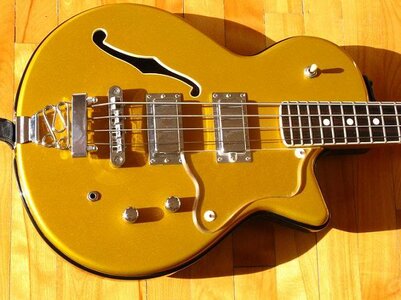 Belvedere DiPinto Standard Hollowbody - 400$