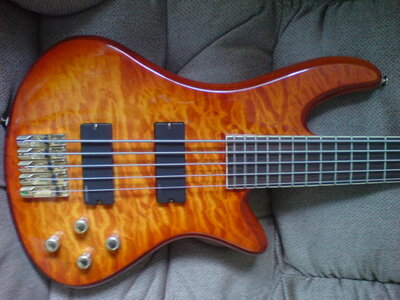 FS/FT: Schecter Elite 5string bass