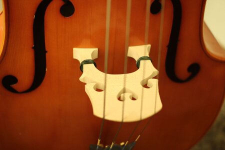 FS: 3/4 Double Bass with Gamba Corners (IOWA) *PRICE DROP*