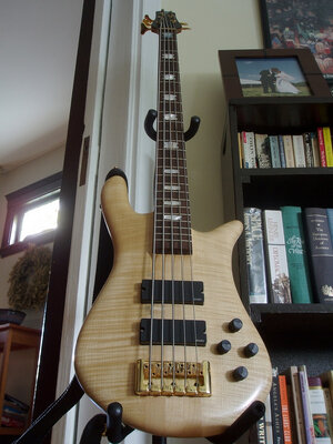 WTT: My Spector Euro 5LX for your Lakland 5-string